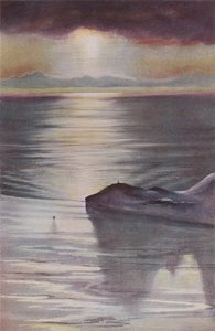 Hut Point from Observation Hill by Charles Edward Wilson
