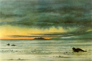 Looking North in McMurdo Sound by Edward Wilson