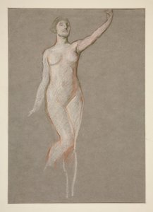 Figure Study