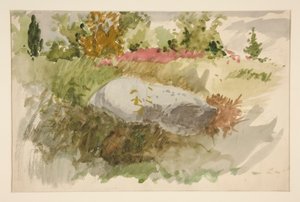 Rocks and Shrubs by Edwin Austin Abbey