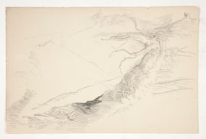 Sketch of a Tree by Edwin Austin Abbey