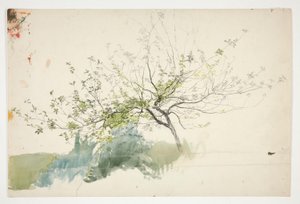Sketch of a Tree