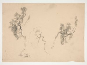 Sketches of branches by Edwin Austin Abbey