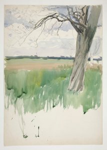 Study of a Field and Tree by Edwin Austin Abbey