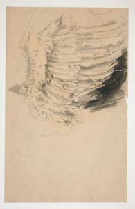 Study of a Wing