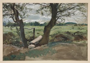 Study of Two Trees and a Field by Edwin Austin Abbey