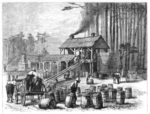 Turpentine Distillery, North Carolina