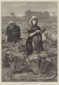 For the London Market (engraving) by Edwin Buckman