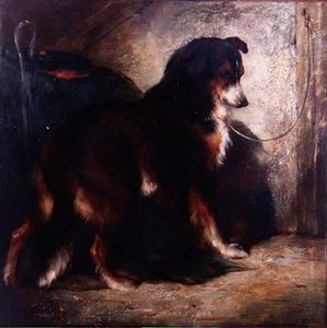 The Shepherd