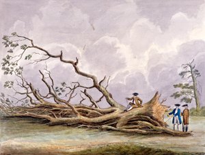 Trees Damaged by a Storm of 15th October, Roehampton, London, 1780