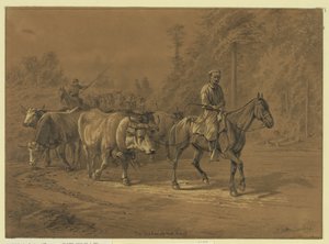 The Leader of the Herd by Edwin Forbes