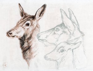 Facsimile of a drawing by Sir E Landseer, 1874 by Edwin Landseer