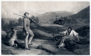 Prince Albert Stag Hunting