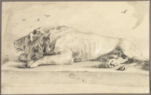 Reclining Lion
