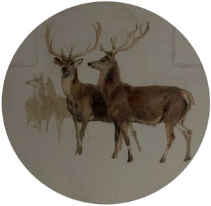 Deer in a Landscape (Studies of Deer) by Edwin Landseer