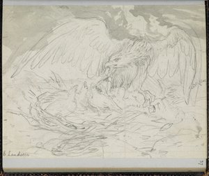 F. 37: A bird of prey feeding chicks, from a 