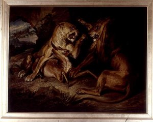 Lions at a Kill