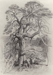 Under the Old Fir Tree by Edwin Landseer