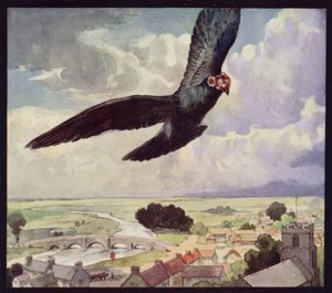 A Carrier-Pigeon on the Wing