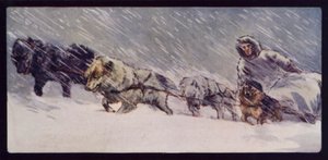 An Esquimaux Sledge Dog Team