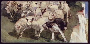 Bobtailed Sheep-Dog and Flock on the Cliffs