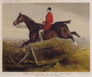 Captain Percy Williams on a Favorite Irish Hunter