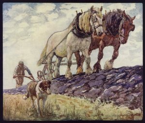 English Cart-Horses Ploughing