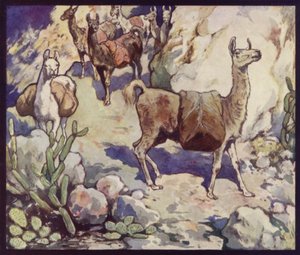 Llamas in the Andes