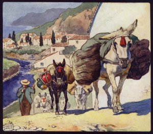 Mules on a Spanish Pass