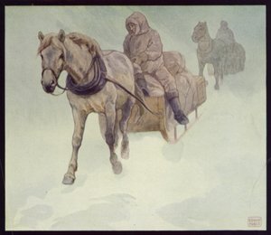 Siberian Ponies in Antarctic