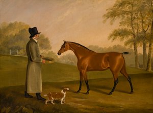 A Horse in a Landscape with the Groom, David, Bennet by Edwin W. Cooper