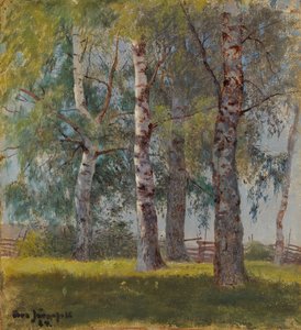 Birches by Eero Järnefelt