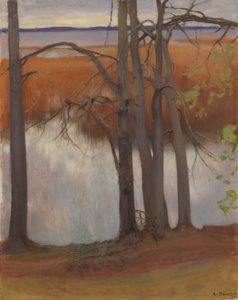 Lake Shore with Reeds by Eero Järnefelt