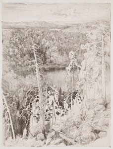 Landscape from Koli; Forest Landscape from Räsävaara