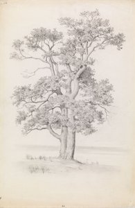 Oak by Eero Järnefelt