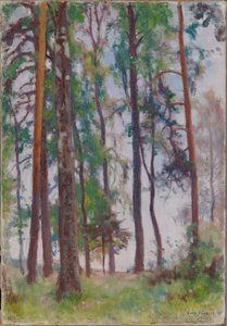Pines