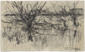 Pollard Willows along the Water