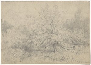 Landscape with a Tree Prominently in the Middle by Egbert Rubertus Derk Schaap
