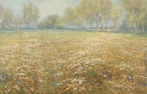 Meadow in Bloom