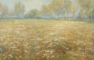 Meadow in Bloom
