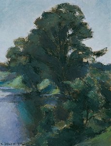Trees by the Water
