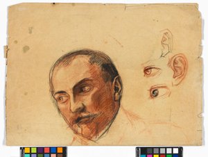 Study Sheet (Head, Eyes, Ears)