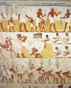 Tomb of Royal Estate Supervisor Menna, Vestibule, Mural Paintings, Working in Fields