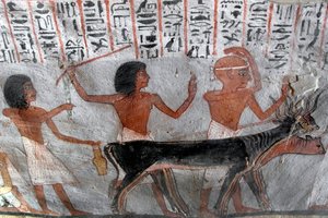 Characters leading betail heads