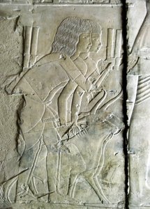 Egyptian antiquity: connects from the tomb of Kha em Het, inspector of attics and scribe to the court of Amenophis III representing men offering beet heads as an offering. 18th dynasty. Luxor, West Bank, Egypt