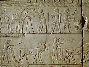 Egyptian antiquity: scenes of work in the fields and offerings to the pharaoh. (detail) by Egyptian 18th Dynasty