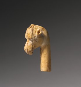 Giraffe Head