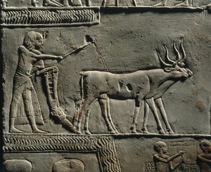Horemheb ploughing land in the Fields of Iaru. Relief from the tomb of Horemheb at Saqqara (detail)