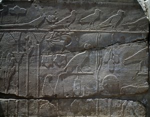 Plants and animals brought back from Thutmose III
