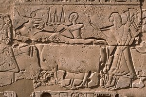 Detail of a relief depicting men leading a cow, Ramesses II (1298-32 BC) courtyard